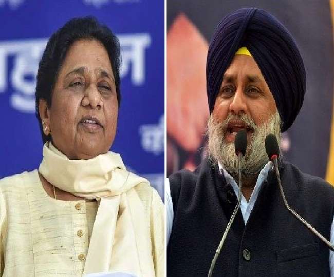 अन्य दलों से गठबंधन बसपा के लिए उत्तर प्रदेश में ही सफल रहा है।