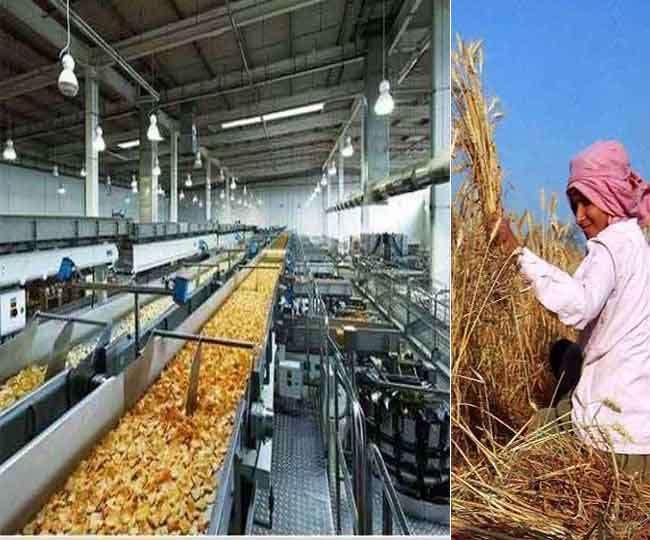 हरियाणा में किसानों को अब उद्योगों का सहारा, कृषि आधारित खाद्य