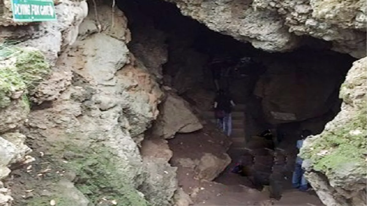 Cave Garden Nainital : नैनीताल आए हैं तो बच्‍चों को केव गार्डन ले जाना न भूलें, जानें क्या है एंट्री फीस और यहां की खास बातें