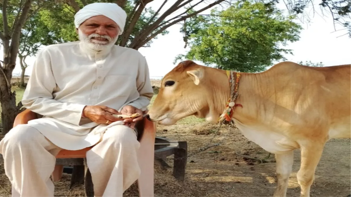 Haryana News: हरियाणा के दादा और पौत्र की जोड़ी ने 25 गांवों में खोल दी गोशालाएं