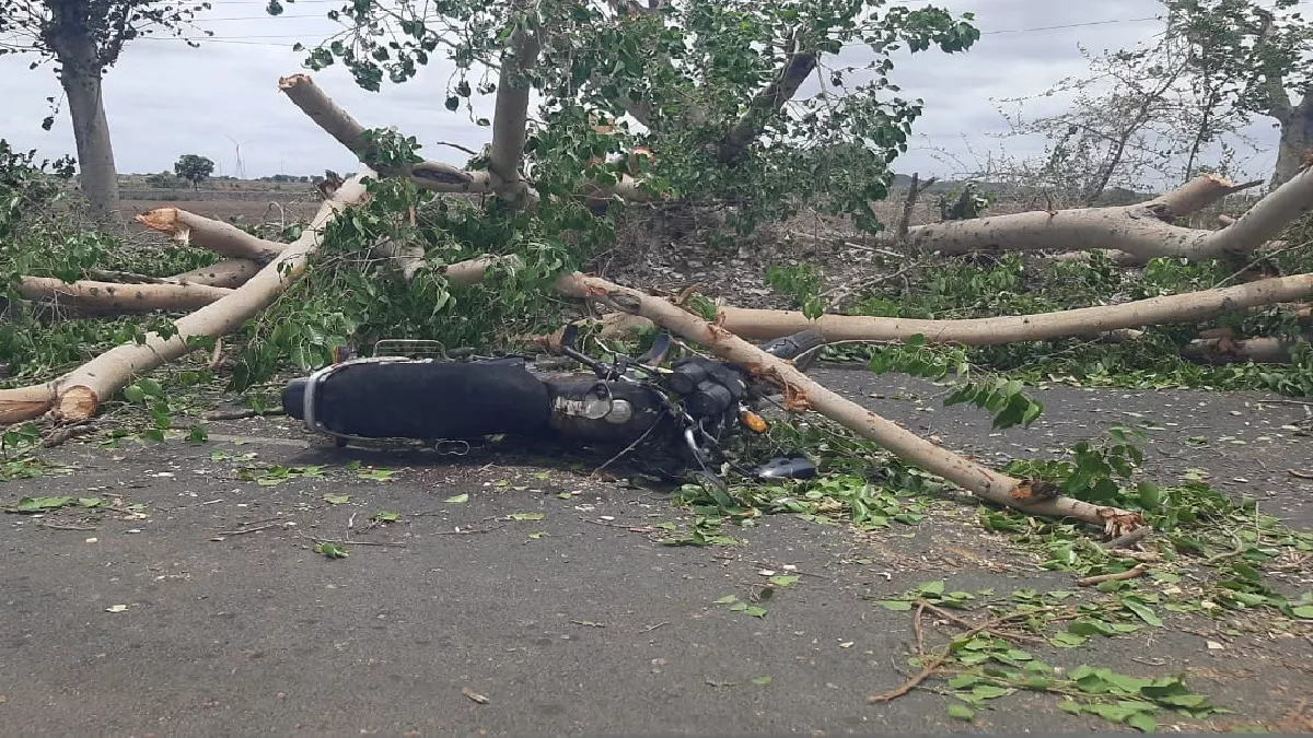 Cyclone Biporjoy: तेज हवा की वजह से बाइक संवार दंपति पर गिरा पेड़, महिला की मौके पर मौत; पति का चल रहा इलाज