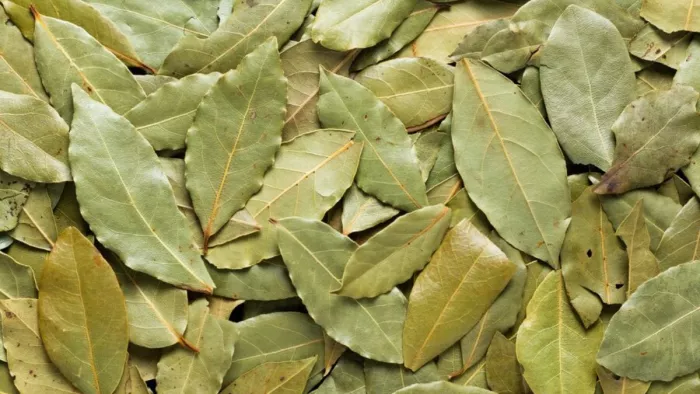 Tej Patta Benefits: जानिए तेज पत्ते के हैरान करने वाले फायदे