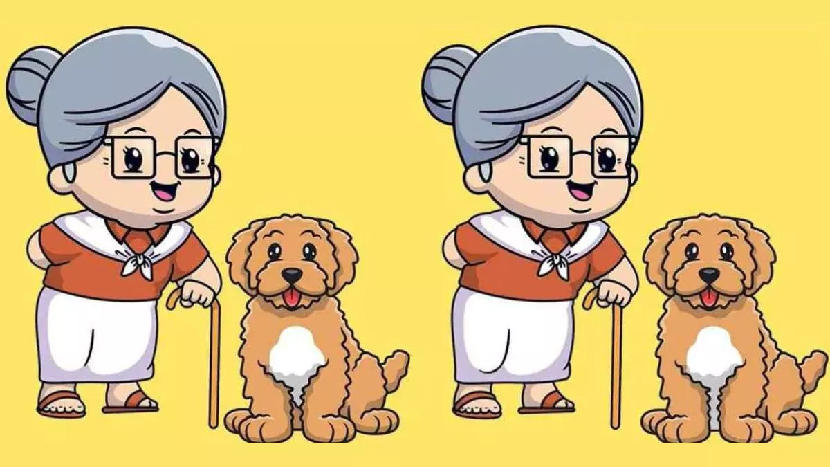 Optical Illusion: क्या आपको दिखाई दे रहे हैं तस्वीर में छिपे 3 अंतर, ढूंढने के लिए है सिर्फ 10 सेकंड का समय