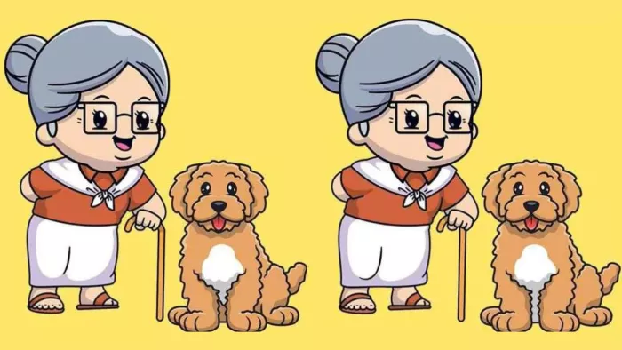 Optical Illusion: क्या आपको दिखाई दे रहे हैं तस्वीर में छिपे 3 अंतर (Image Source: YouTube)