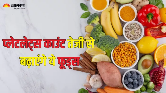 ये दस सुपरफूड्स बढ़ाएंगे प्लेटलेट काउंट (Picture Credit- Freepik)