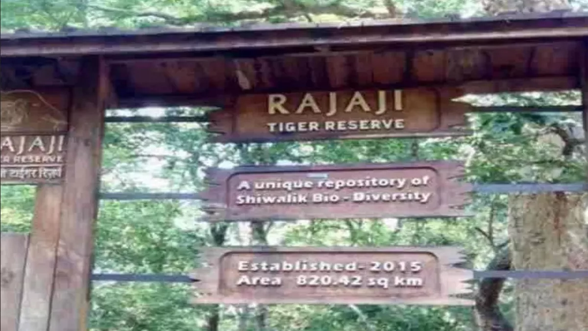 10 साल बाद राजाजी में आकार लेगा टाइगर कंजर्वेशन प्लान, राष्ट्रीय बाघ संरक्षण प्राधिकरण को अनुमोदन के लिए भेजा