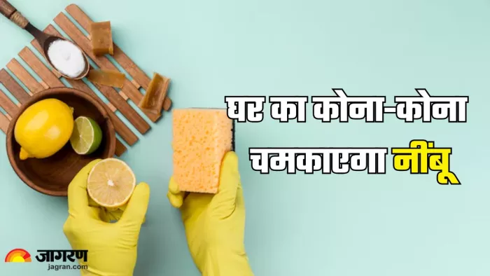 नींबू से करें घर की सफाई, चमक उठेगा हर कोना (Picture Credit- Freepik)