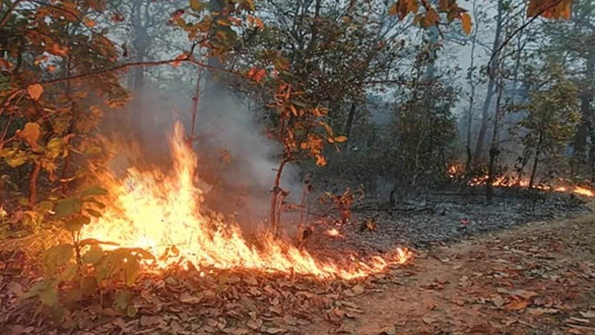 srinagar news forest fire contained in sonamarg ganderbal