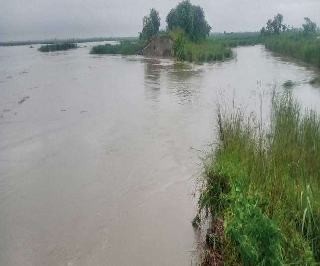 News Article Hero Image