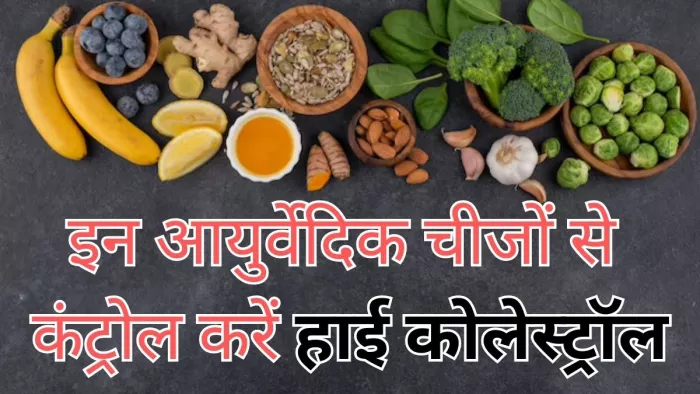 हाई कोलेस्ट्रॉल का स्तर कम करने के लिए खाएं ये आयुर्वेदिक फूड्स