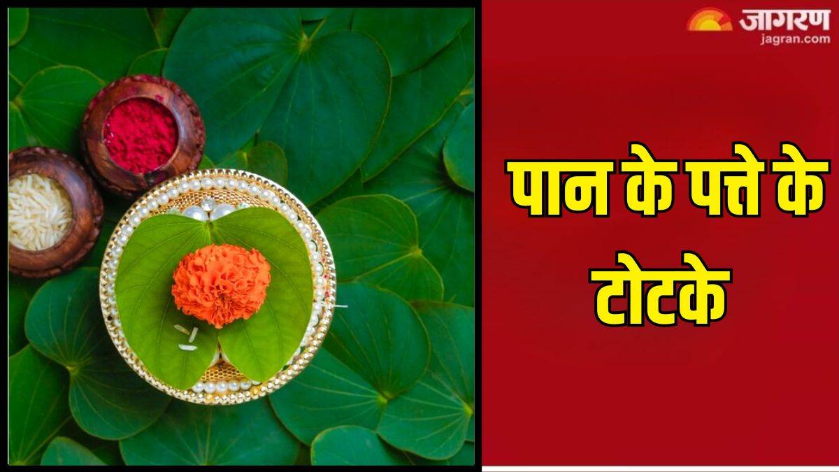 https://www.jagranimages.com/images/newimg/13072024/13_07_2024-betel_leaves__4_23757665_1259404.jpg