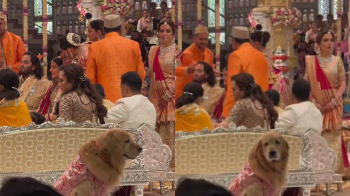 https://www.jagranimages.com/images/newimg/13072024/13_07_2024-dog_1_23757820.jpg