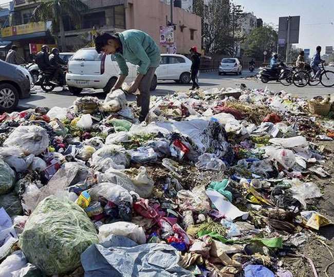 घर में कीजिए गीले कचरे का निस्तारण, बचाइए पर्यावरण Dispose of wet