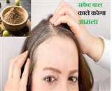 आंवला का सेवन सफेद बालों को काला कर सकता है।