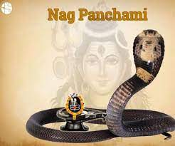 know which snakes to be worship on the day of nag panchami2021