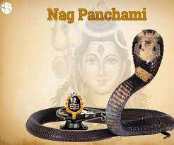 Nag Panchami 2021: नाग पंचमी के दिन करें इन 8 नागों की पूजा, कालसर्प दोष से मिलेगा छुटकारा