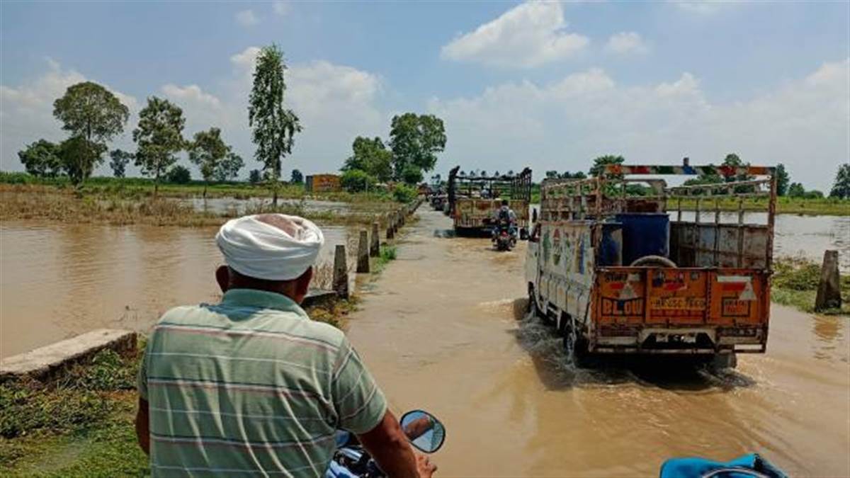 जल स्तर घटने से शेरगढ़ टापू के पास यमुना पुल पर शुरू हुआ आवागमन