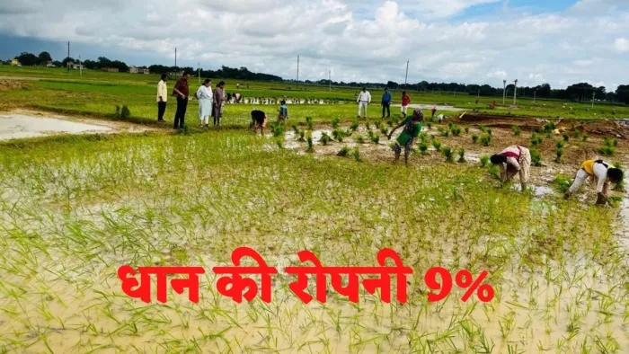 Jharkhand Drought: झारखंड इस समय सुखाड़ की चपेट में है। धान की रोपनी बहुत कम हुई है।