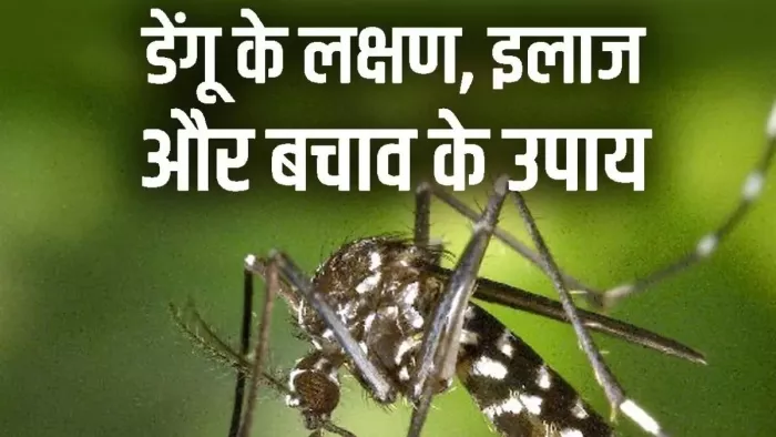 Dengue Fever: बरसात थमने के बाद डेंगू के तेजी से फैलने का बढ़ा खतरा। जागरण