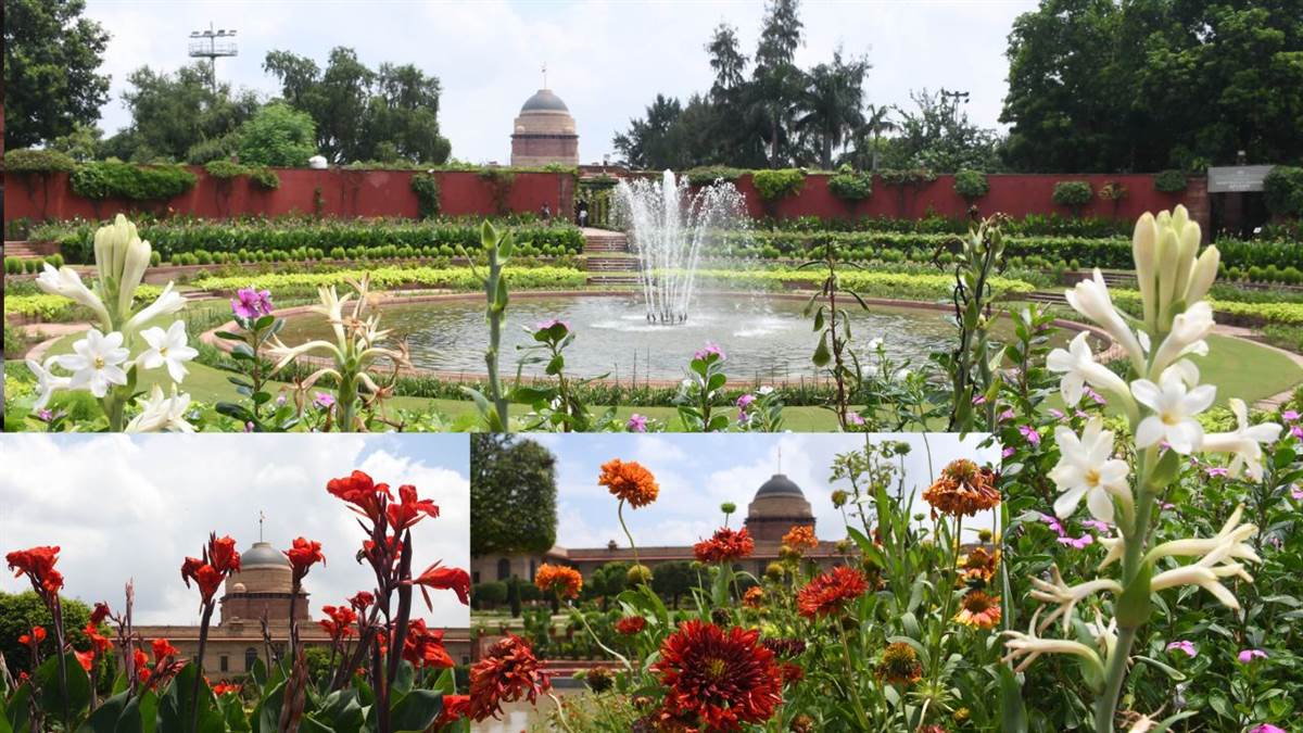 https://www.jagranimages.com/images/newimg/13082024/13_08_2024-delhi_amrit_udyan_23777600.jpg