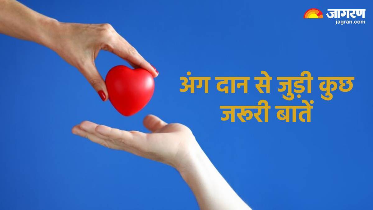 world organ donation day 2024 important things you need to know about organ donation