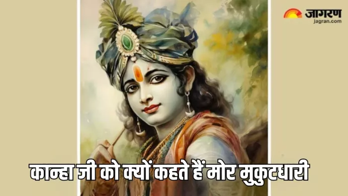 Janmashtami 2024 मोर पंख का धार्मिक महत्व