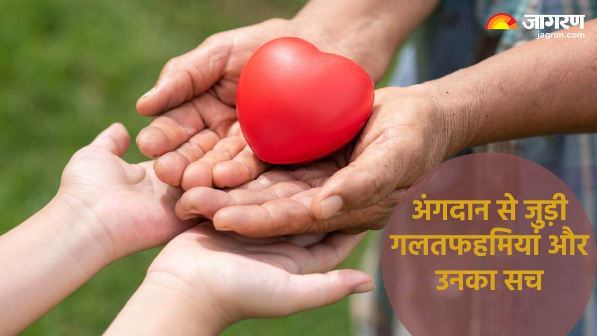 world organ donation day 2024 myths and facts about organ donation