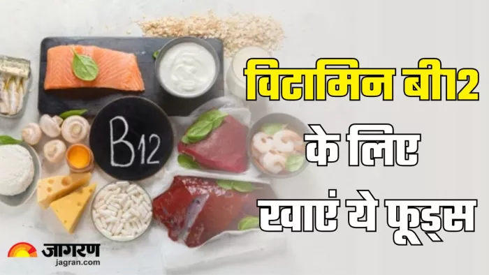 इन फूड्स से करें विटामिन बी12 की कमी दूर (Picture Credit- Freepik)
