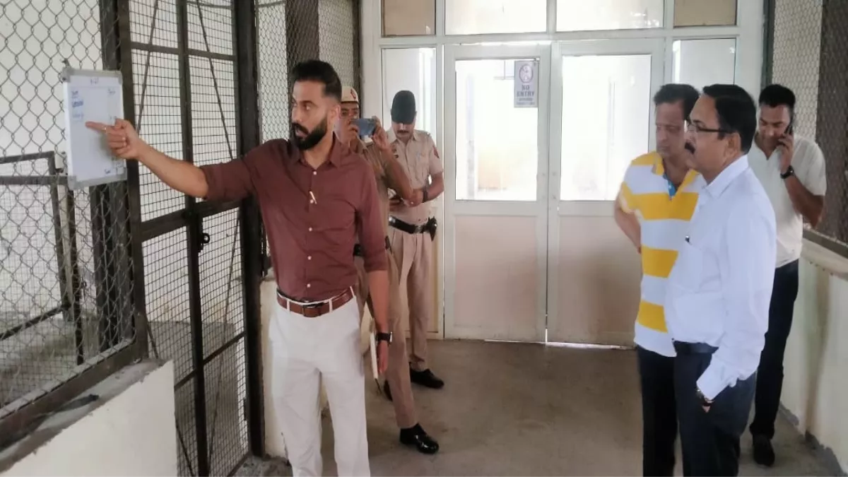 पंचकूला में आवारा कुत्तों का खौफ होगा कम, नगर निगम की टीम पकड़कर डाग पौंड में छोड़ेगी