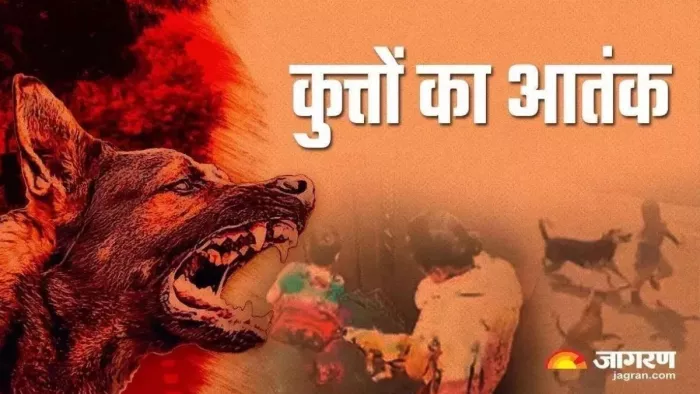 यमुनापार में आवारा कुत्तों का आतंक है। फोटो- जागरण ग्राफिक्स
