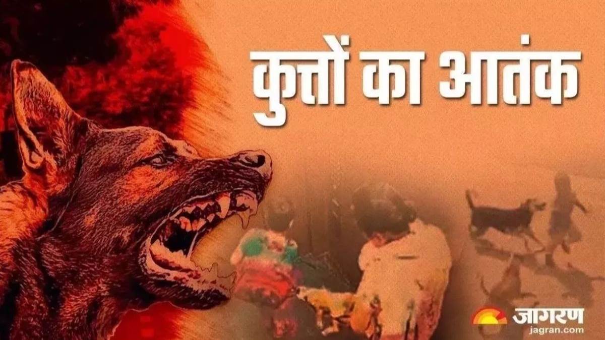 https://www.jagranimages.com/images/newimg/13082025/13_08_2025-dogattack_24011743.jpg