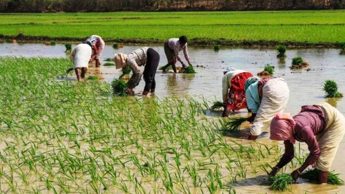 https://www.jagranimages.com/images/newimg/13082025/13_08_2025-farmers_24011713_1353413.jpg