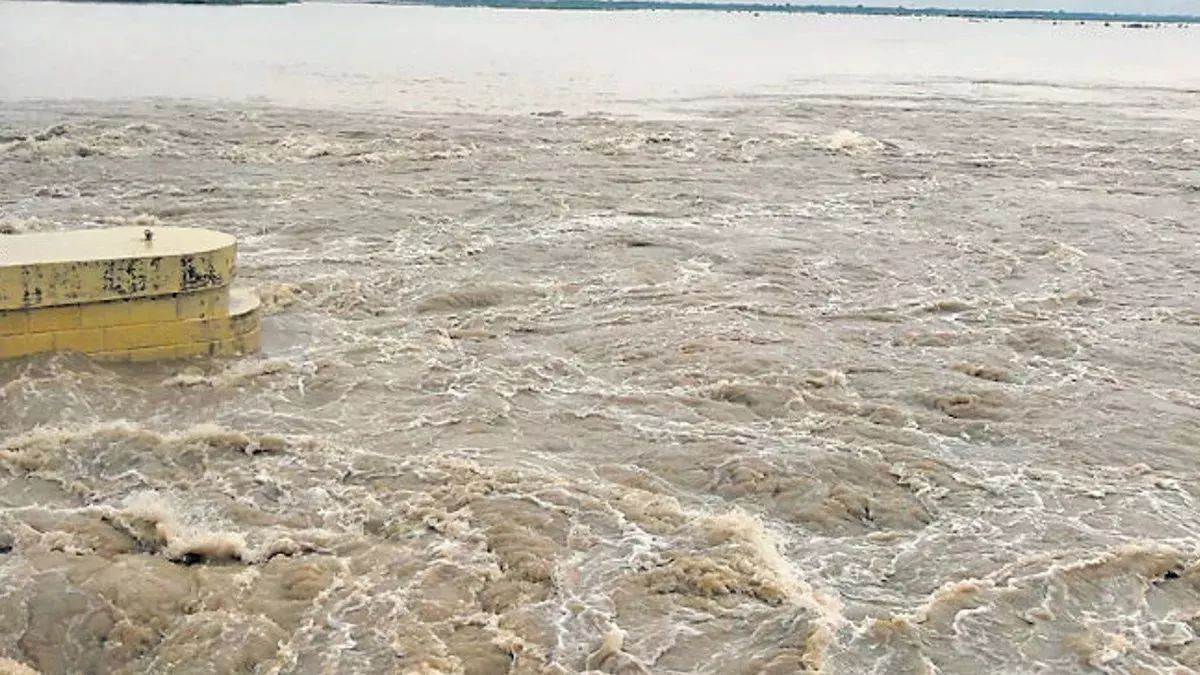 punjab floods beas river overflowing flood alert issued in five districts