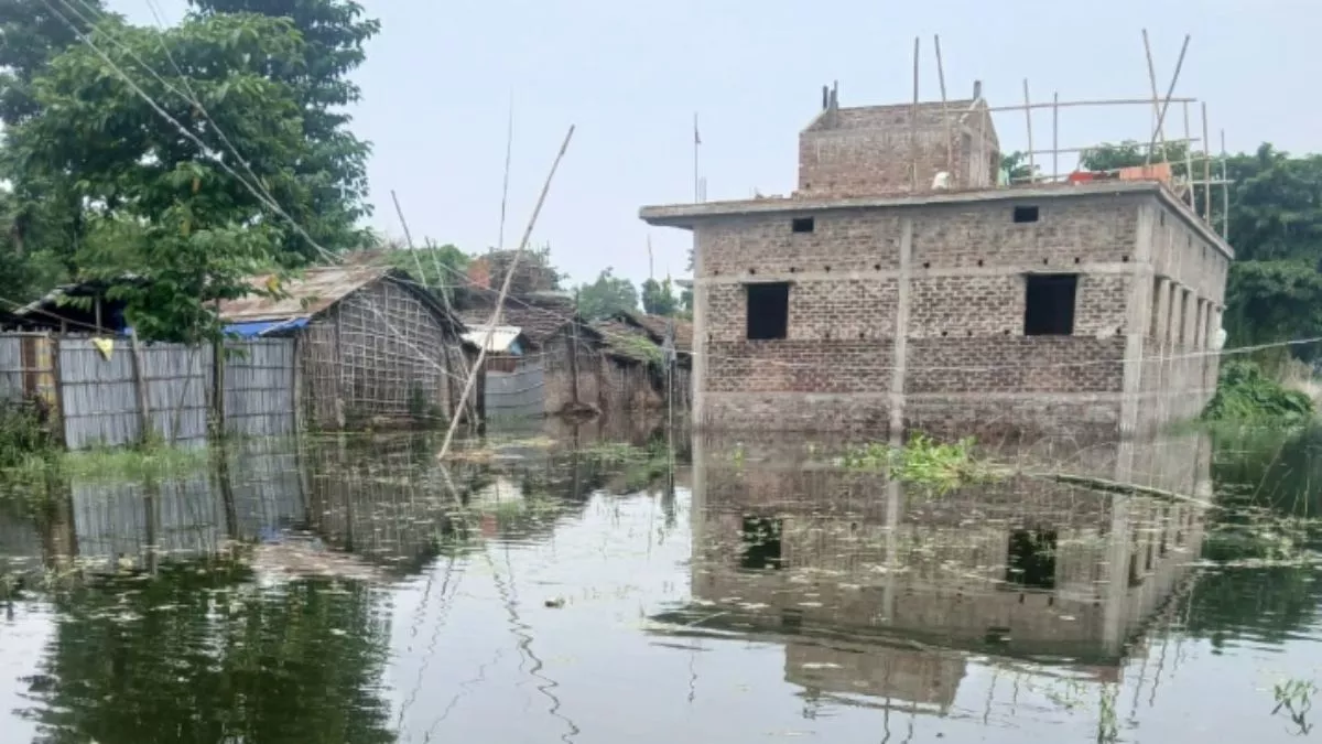Katihar News: कोसी नदी का पानी में डूब रही लोगों की जिंदगी, टेंट और प्लास्टिक के सहारे कर रहे जीवनयापन