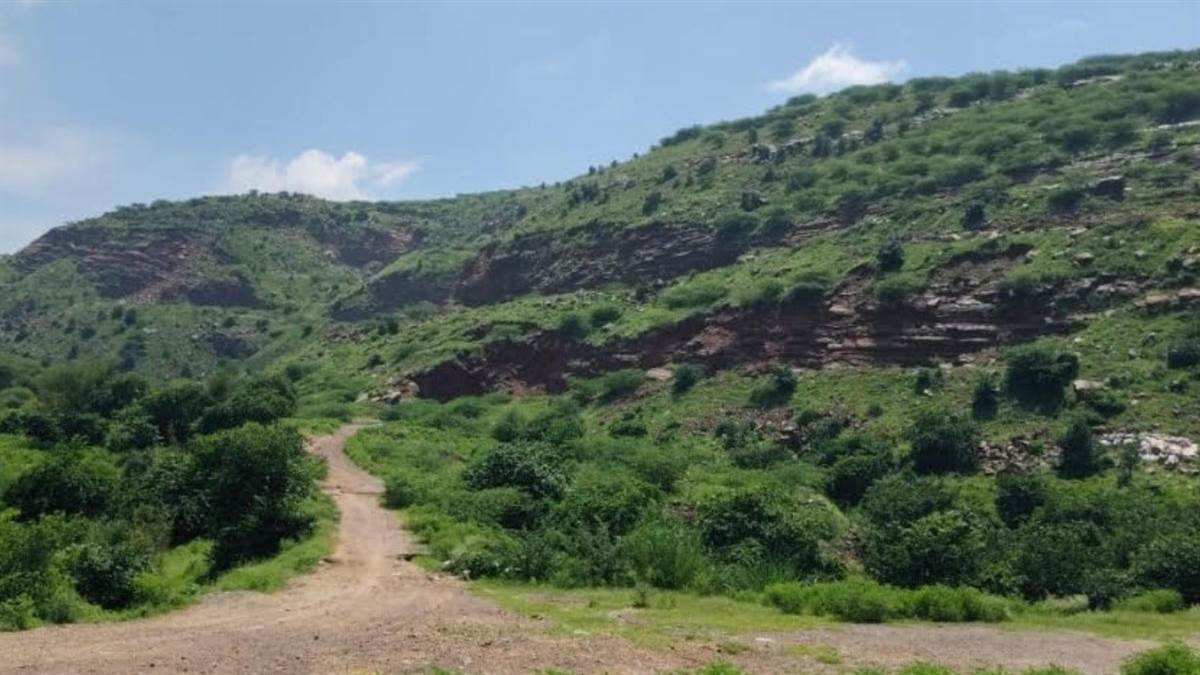 https://www.jagranimages.com/images/newimg/13082025/13_08_2025-mewat_news_6_24011869.jpg