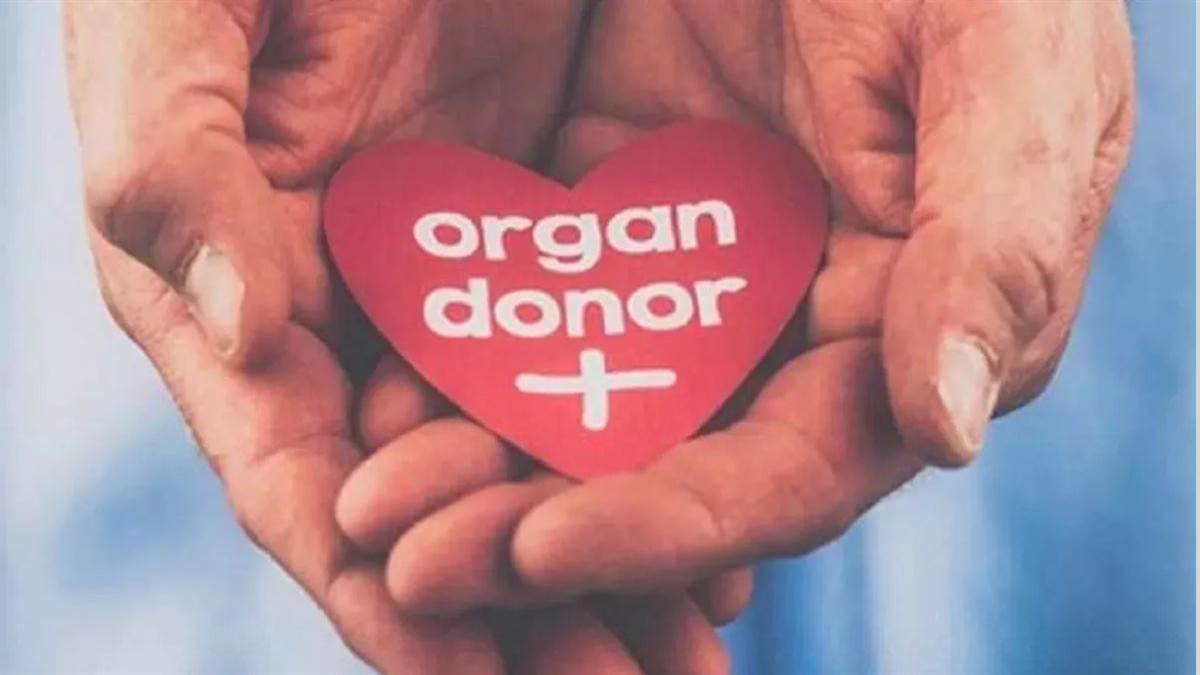 https://www.jagranimages.com/images/newimg/13082025/13_08_2025-organ_donation_24011527.jpg