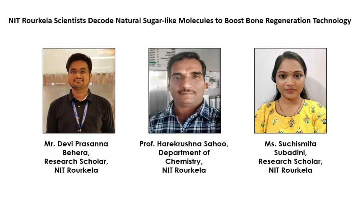 हड्डियों की मरम्मत में मददगार प्रोटीन पर NIT ने की रिसर्च, हड्डी के फ्रैक्चर और रोगों का होगा उपचार