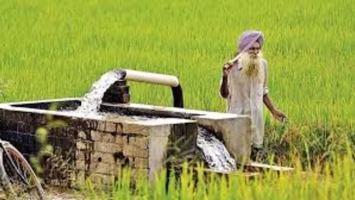 Punjab News: धरती के पानी को खींच रही ट्यूबवेलों की प्यास, हर साल बढ़ रहा पानी का दोहन