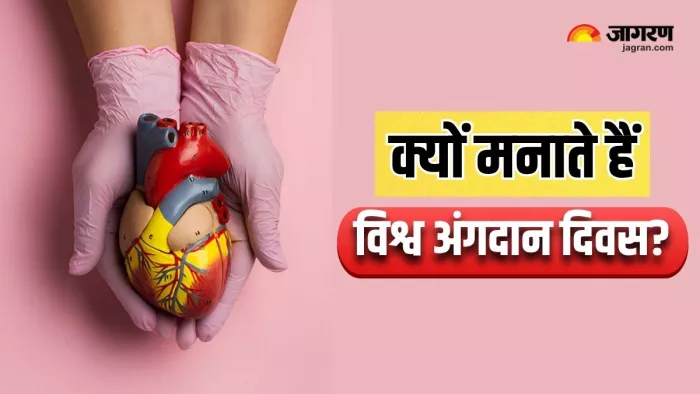 हर साल क्यों मनाया जाता है World Organ Donation Day? (Image Source: Freepik)