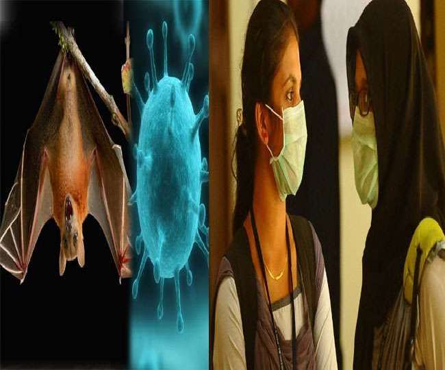 केरल में निपाह वायरस से जुड़े मामले पर अपडेट।(फोटो: दैनिक जागरण)