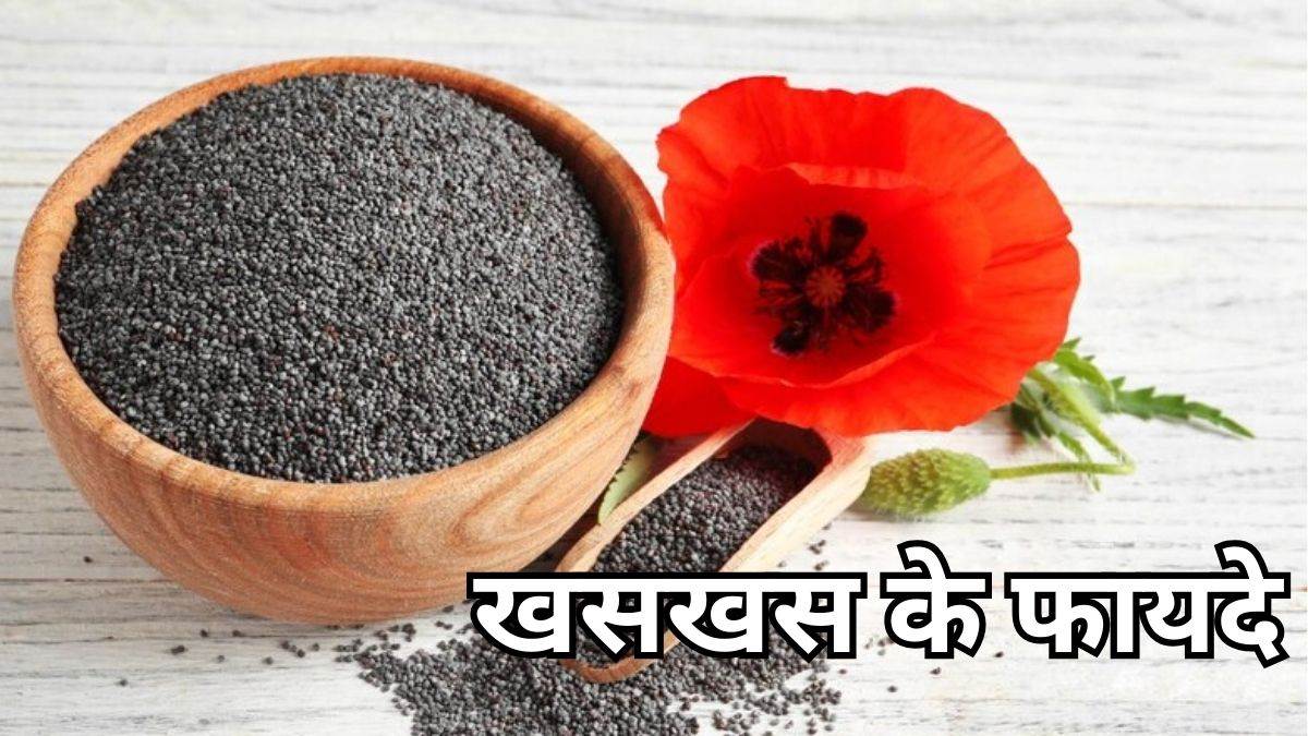Benefits of Poppy Seeds पाचन दुरुस्त करने से लेकर बेहतर नींद आने तक