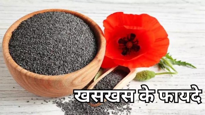 गुणों की खान है खसखस, जानें इसके फायदे