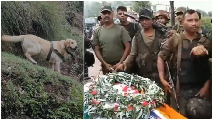 सेना के जवानों ने लैब्राडोर केंट को दी अंतिम विदाई