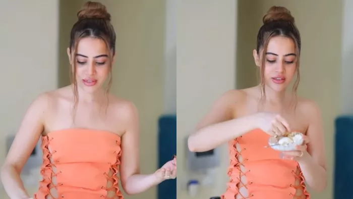 Urfi Javed made Dessert Ice Cream. Photo Credit: Instagram Video