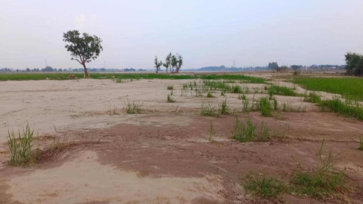https://www.jagranimages.com/images/newimg/13092025/13_09_2025-agriculture_land_rs_pura_24045898.jpg
