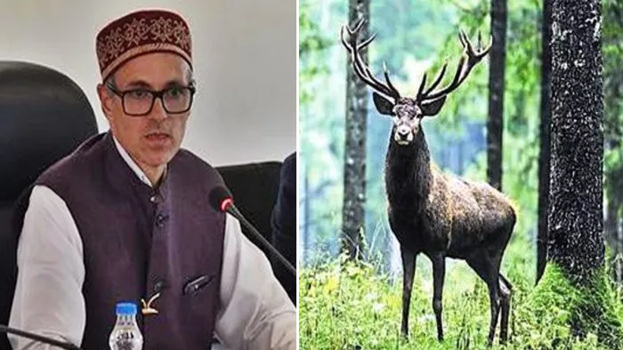मुख्यमंत्री उमर अब्दुल्ला का वादा हंगुल संरक्षण के लिए सिफारिशों पर होगी कार्रवाई
