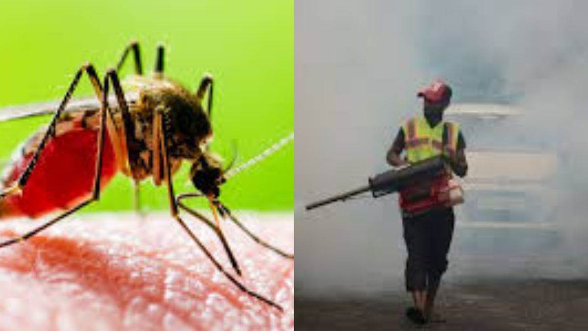 https://www.jagranimages.com/images/newimg/13092025/13_09_2025-dengue_fogging__24045921.jpg