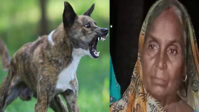 लंबे इलाज के बाद भी महिला ने आखिर दम तोड़ दिया।
