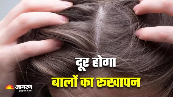Dry Scalp को ट्रीट करने में काम आएंगे 3 घरेलू उपाय (Image Source: Freepik)