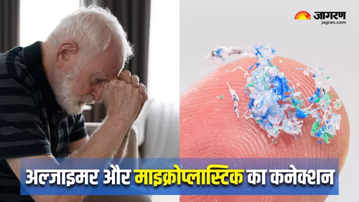 Microplastics बढ़ा सकते हैं अल्जाइमर का खतरा (Image Source: Freepik)